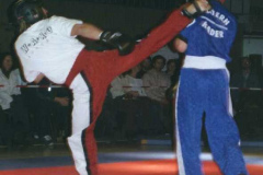 0310110087
