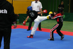 picture-0030