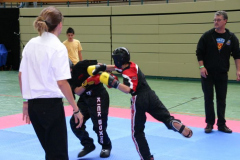 picture-0041
