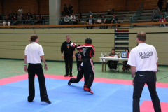 picture-0050