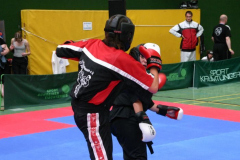 picture-0052