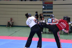picture-0061
