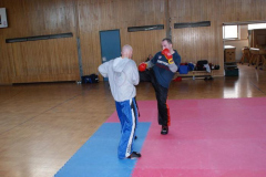 picture-0011