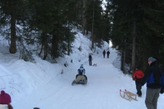 picture-0050
