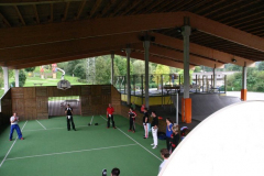 picture-0011