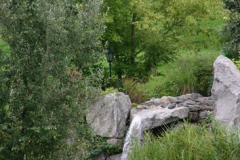 picture-0014