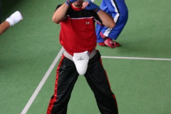 picture-0017
