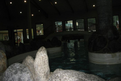 picture-0114