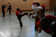 picture-0028