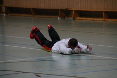 picture-0069