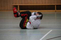 picture-0073